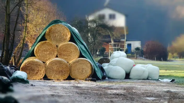 Tudo o que Você Precisa Saber sobre Lonas PVC para Agricultura