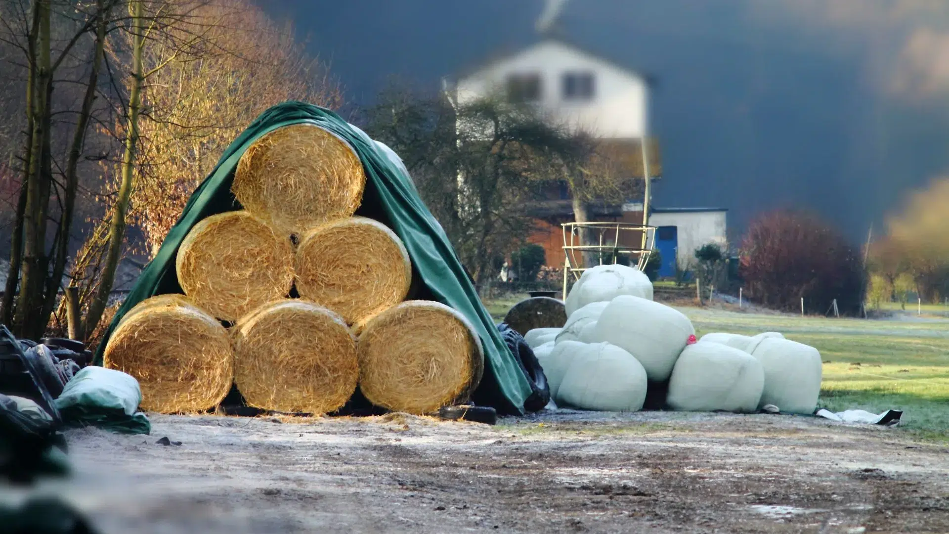 Tudo o que Você Precisa Saber sobre Lonas PVC para Agricultura