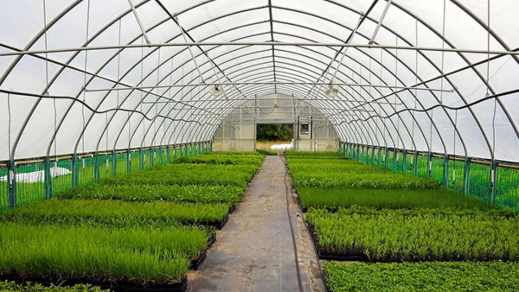 Lonas Agricolas, a Proteção Essencial para Plantio e Armazenamento
