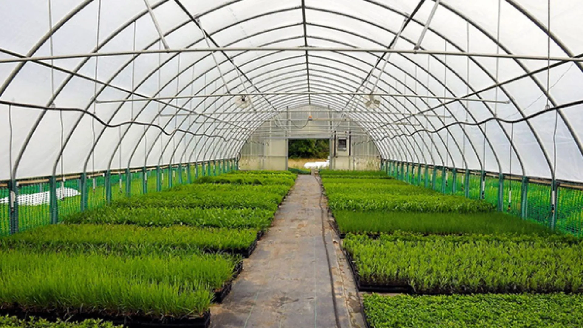 Lonas Agricolas, a Proteção Essencial para Plantio e Armazenamento